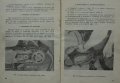 Книга инструкция за експлуатация и обслужване на мокик МК 50-3 Балкан, снимка 9