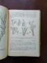 Практическо ръководство по систематика на растенията , снимка 3