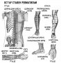  ЕЛЕКТРОПУНКТУРА  ЕЛЕДИА 9ПА, снимка 4