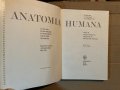 ANATOMIA HUMANA TOMO II, снимка 2