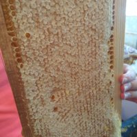 Продавам 100 % натурален полифлорен пчелен мед от Сакар планина, снимка 7 - Пчелни продукти - 25878382