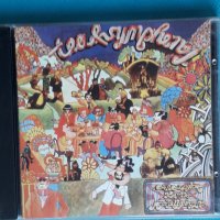 Tea & Symphony – 1969 - An Asylum For The Musically Insane(Prog Rock,Psychedelic Rock), снимка 1 - CD дискове - 43817924