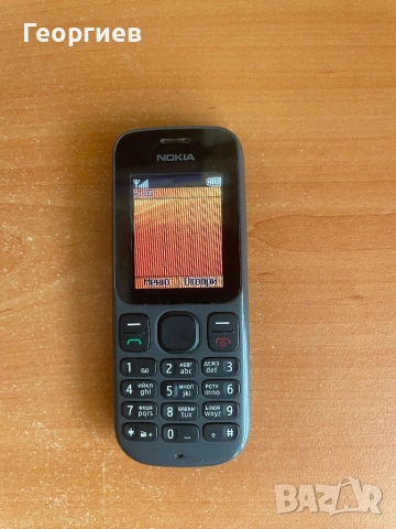 Nokia 100