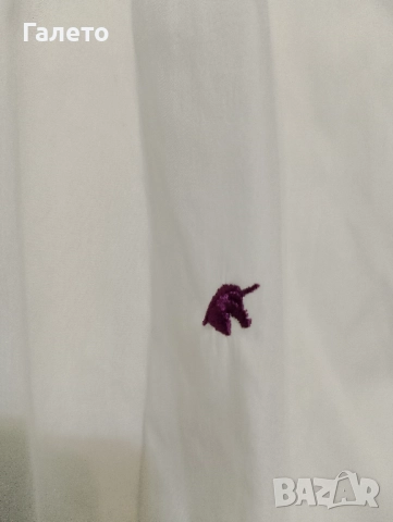 Ризи 2 бр 10 лв 