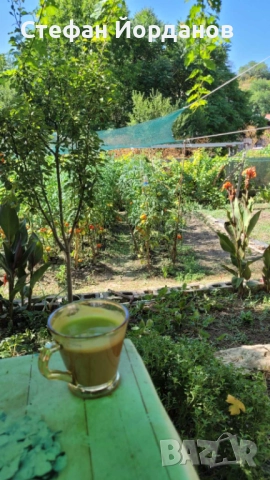 Парцел, снимка 4 - Парцели - 52220095