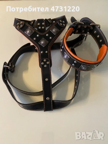 Комплект "Ерос"нашийник и хамут  за куче XXL-Bestia