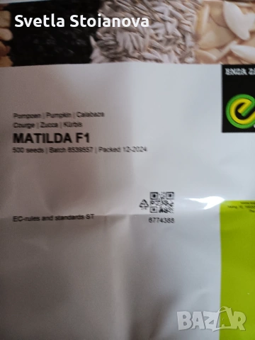 Семена  за тиква Матилда. 20бр