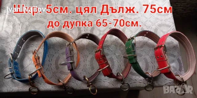 6 Вида цвят Текстилен Каишки за голямо куче, снимка 3 - За кучета - 48763789