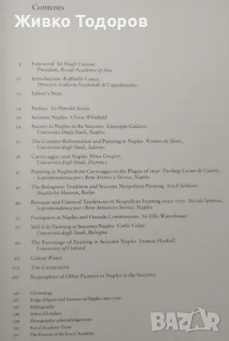 Painting in Naples, 1606-1705 from Caravaggio to Giordano, снимка 13 - Специализирана литература - 48876815