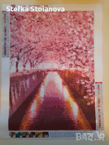 Диамантени картини без рамка, снимка 1