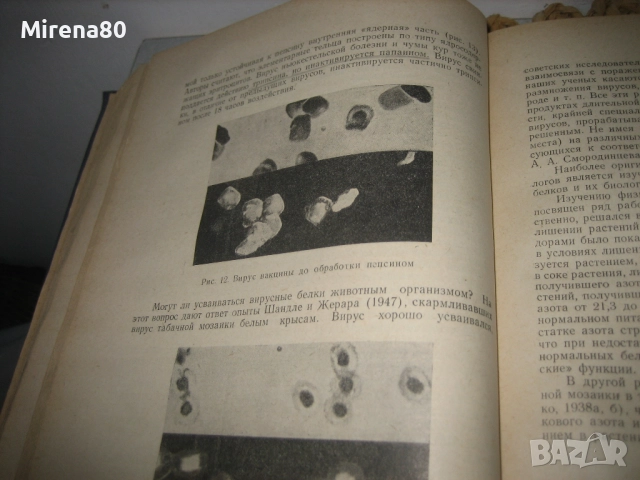 Успехи биологической химии - 1950 г., снимка 5 - Специализирана литература - 52093472