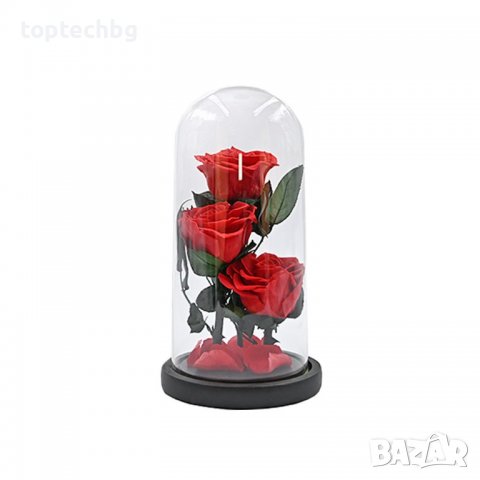 3 броя Луксозна вечна роза в стъкленица Beauty Roses, Червен, снимка 4 - Изкуствени цветя - 37905312
