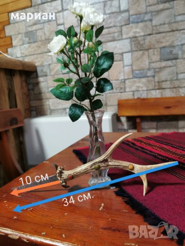 Колекционерски нож с рог от елен, снимка 4 - Колекции - 33568143