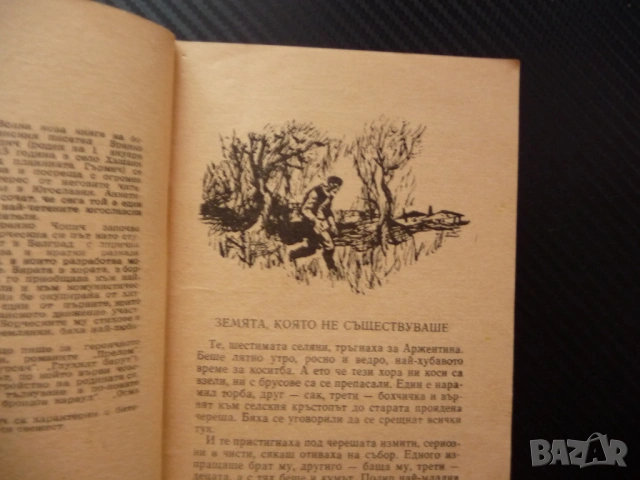 Горчивият мед Бранко Чопич разкази 1965 година Учителката Не се сърди човече Вкаменените цигани песе, снимка 2 - Художествена литература - 53438003