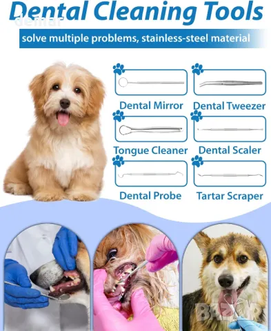 Електрическа машина за премахване на плака за домашни любимци с LED светлина, 14 части, 5 режима, снимка 5 - Други стоки за животни - 50254140