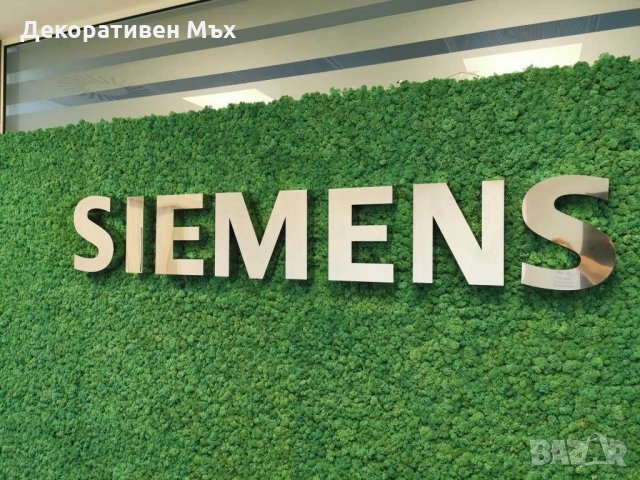 Интериорно озеленяване с естествен скандинавски мъх, снимка 8 - Други услуги - 29013958