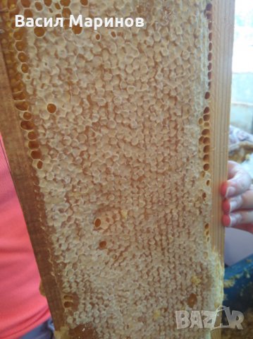 Продавам 100 % натурален полифлорен пчелен мед от Сакар планина, снимка 7 - Пчелни продукти - 25878382