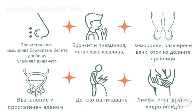 Oilo БИО Етерично Масло от Кора от Вечнозелен кипарис (Cupressus sempervirens) - Cypress Oilo 5 мл., снимка 9 - Други - 49721679