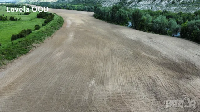 Продава Земеделска земя 242 декара; с. Долна Студена; общ. Ценово, снимка 2 - Земеделска земя - 50271389