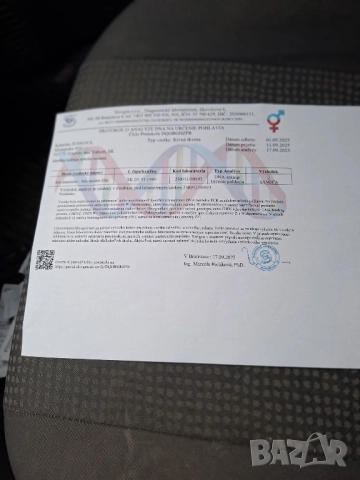 Синьо Жълта женска Ара, снимка 6 - Папагали - 52946206