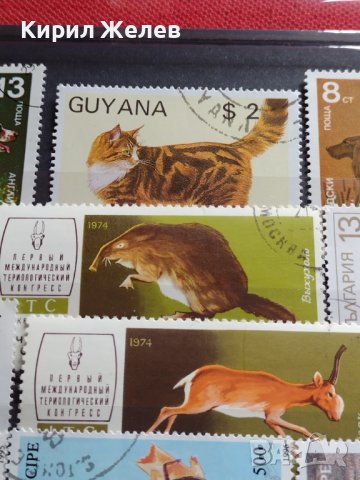 Пощенски марки смесени от цял свят ЖИВОТНИ за КОЛЕКЦИЯ 22615, снимка 5 - Филателия - 40344342