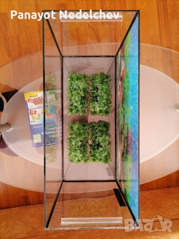 Аквариум , снимка 5 - Аквариуми - 52963708