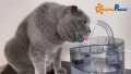 3643 Поилка за котки сус сензор за движение, снимка 2
