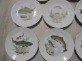 № 8511 Стари порцеланови чинии KAHLA - Комплект от 8 броя, снимка 3