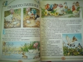 Приказки от цял свят - Рийдърс Дайджест (Гема "Енциклопедия на златните приказки", снимка 8