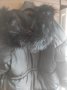 Черна дамска шуба/яке, снимка 3