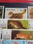 Пощенски марки смесени от цял свят ЖИВОТНИ за КОЛЕКЦИЯ 22615, снимка 5