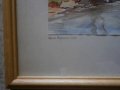 Акварел Д.Камбуров, снимка 3