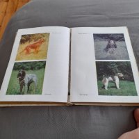 Книга за Ловеца и Риболовеца, снимка 4 - Други - 32347596