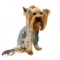 Вратовръзка за куче Официален костюм за куче Кучешки вратовръзки/папийонки Кучешка вратовръзка , снимка 3 - За кучета - 35995600