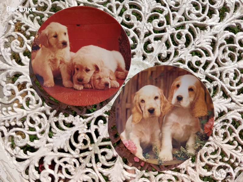 2 декоративни порцеланови чинии с кученца , снимка 1