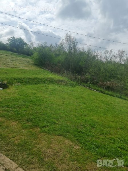 Косене,озеленяване,почистване на тревни площи и дворове! Рязане на дървета!, снимка 1