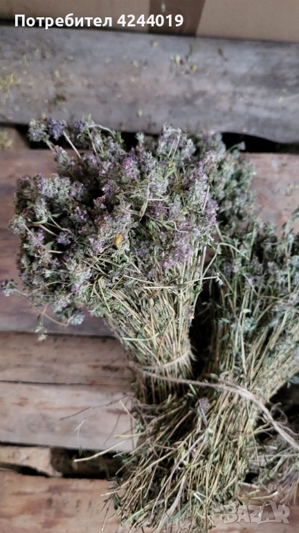 Чай, снимка 1