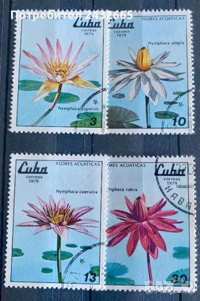 1917. Куба 1979 = “ Флора. Водни цветя. “ , снимка 1
