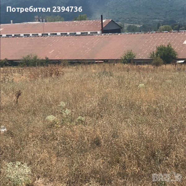 Промишлен имот гр.Стрелча 12дка, снимка 1