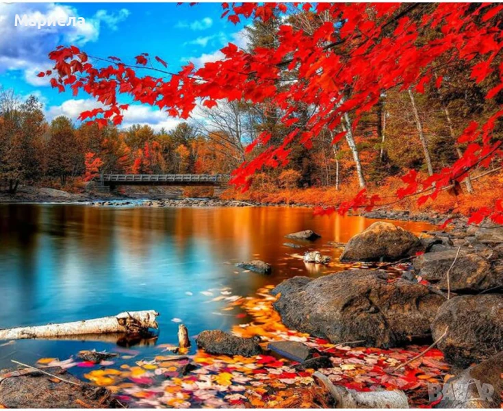 Комплекти за диамантена живопис TOCARE за възрастни с клен, есенен диамантено изкуство за възрастни, снимка 1