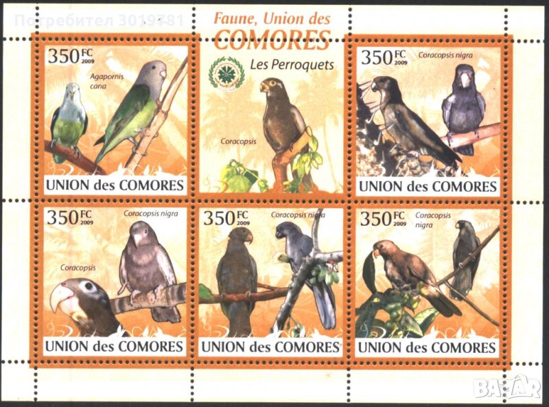 Чисти марки в малък лист Фауна Птици Папагали 2009 от Коморски острови, снимка 1