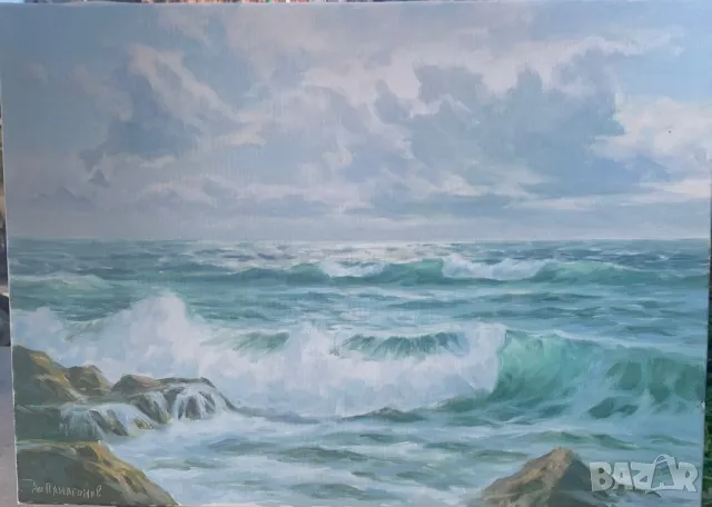 Картина от А.Панагонов-тюленовски бряг!