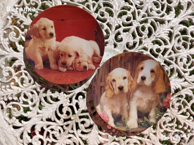 2 декоративни порцеланови чинии с кученца 