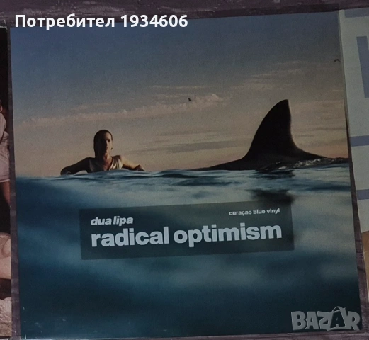 Оригинални CD, DVD дискове и грамофонни плочи., снимка 5 - Грамофонни плочи - 28108971