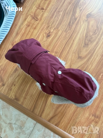 Дрешка за дребна порода куче, снимка 5 - За кучета - 53074191