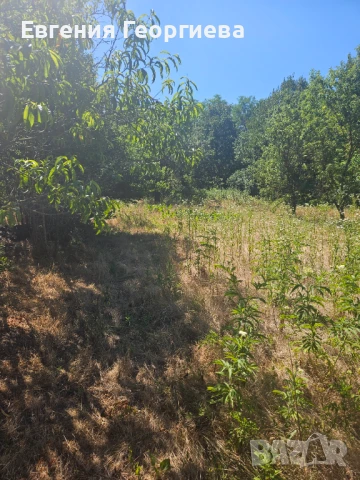 Къща с.Засмяно, снимка 5 - Къщи - 50984842