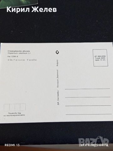 Четири пощенски картички МЕДОВА ПЕРУНИКА, СТРАНДЖАНСКА ЗВЪНИКА,ВОДНА ЛИЛИЯ 26474, снимка 10 - Филателия - 51697755