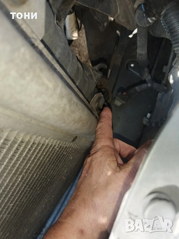 купи и наградни медали, снимка 5 - Колекции - 52479901