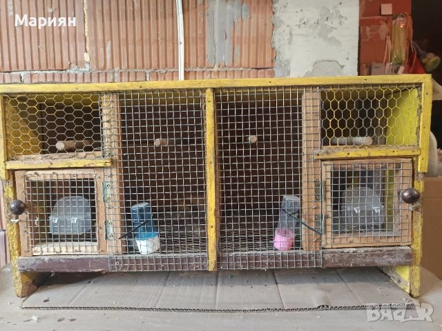 клетка за птици