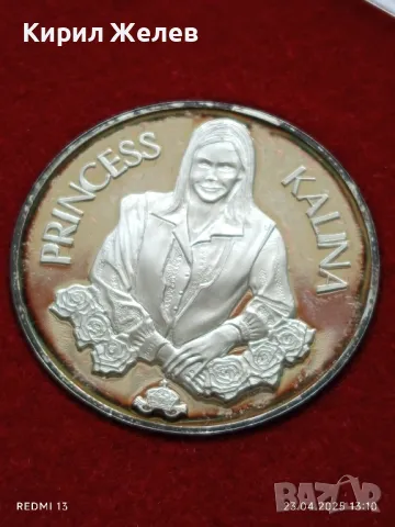 Плакет Европейско първенство по кърлинг2004г. София Принцеса Калина 49561, снимка 6 - Антикварни и старинни предмети - 50003454